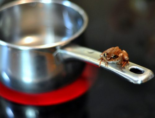 The frog in the pan – reflections on the ‘culture of church’