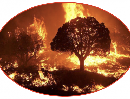Editorial: Things are ‘hotting’ up …